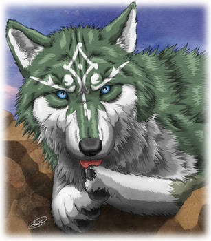 Link Wolf