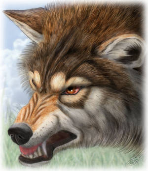 Angry Wolf