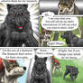 Wolf Comic --SS-page26--