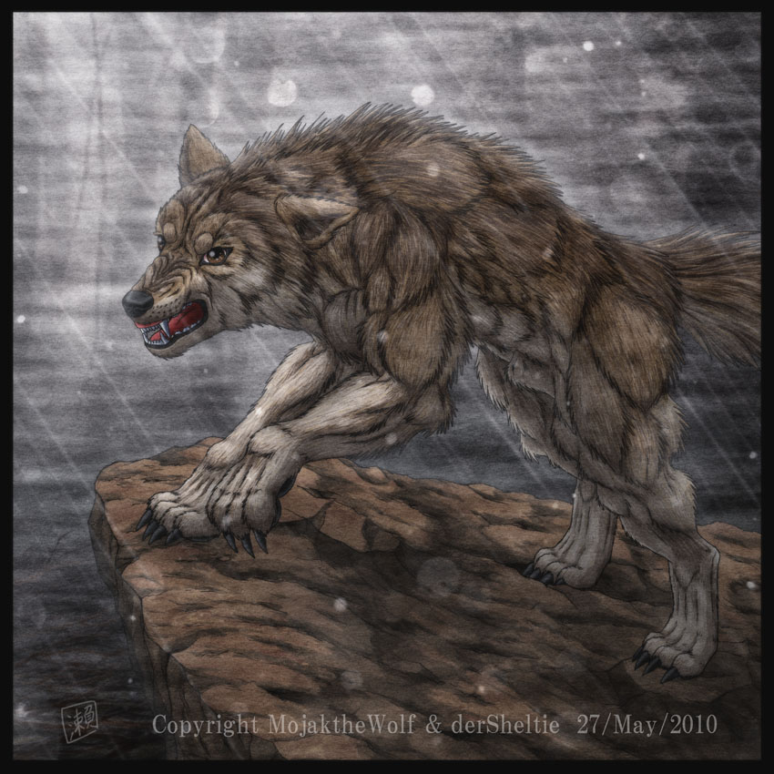 Commission : Dire Wolf