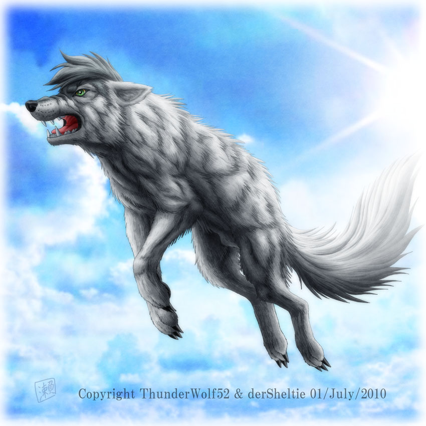 Commission : Wolf with a sky