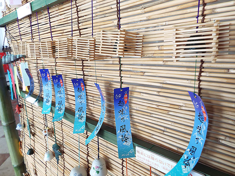 Furin -2