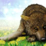 Wolf, Dandelion