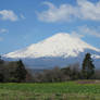 Mount Fuji