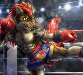 Muay Thai Fighter