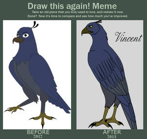 Vincent - Before vs After