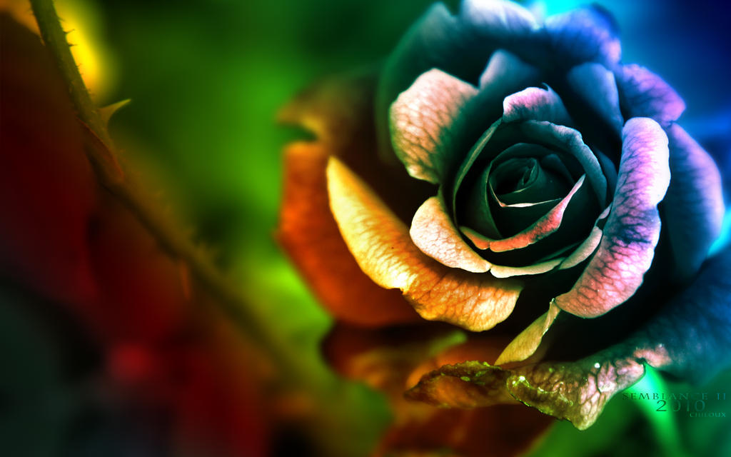 Semblance Wallpaper by chilouX