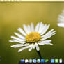 May '10 Desktop