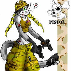 The Real Pistol