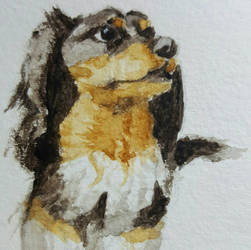 rgd watercolor dog