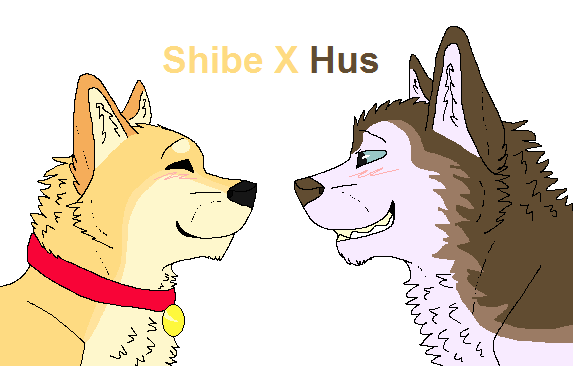 Shibe X Hus (redraw)