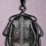 Skull Torso - creepie cameo