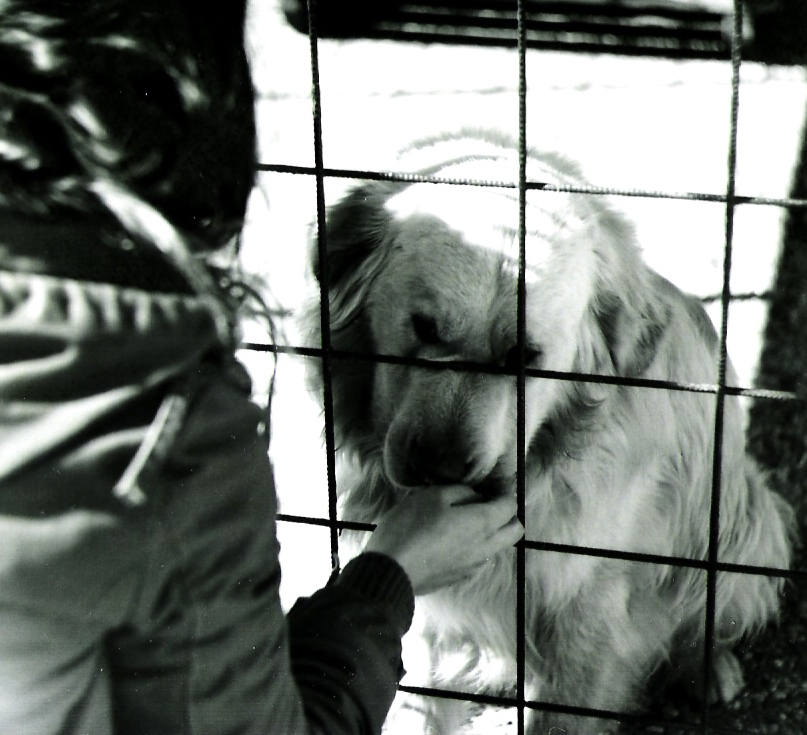 dog and girl