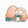 Rowlet Cuddle Animation (complete)