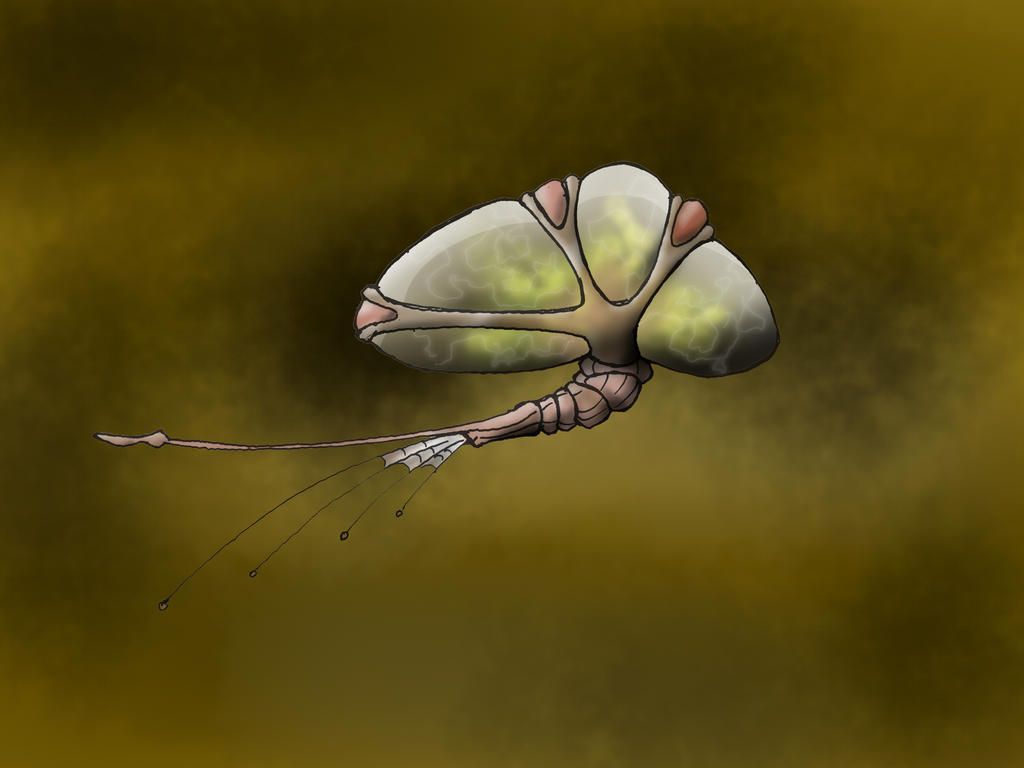 Pathfinder Floating Brain Floating Brain by fishergraphix on DeviantArt