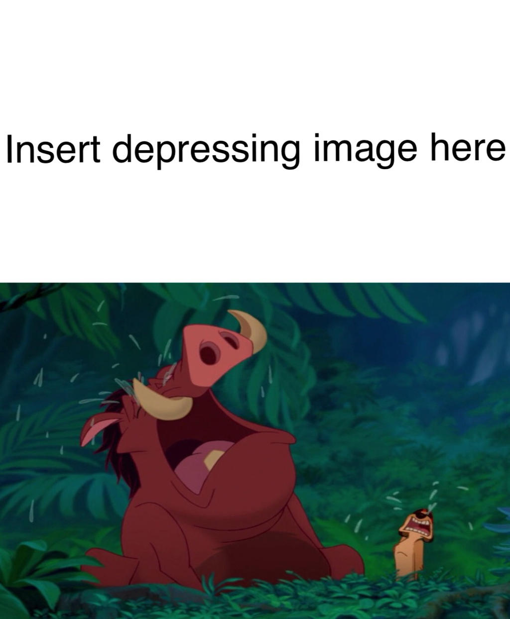 timon and pumbaa cry over blank by captainJthgamemaster on DeviantArt