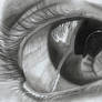 Realistic eye (Pencil on paper)