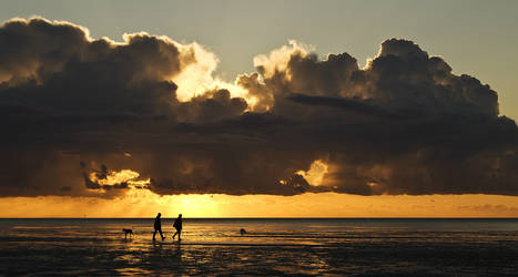 a walk during sunset