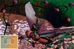 playExpo Winner: The Rose Fairy by MunchyCrunchyMan