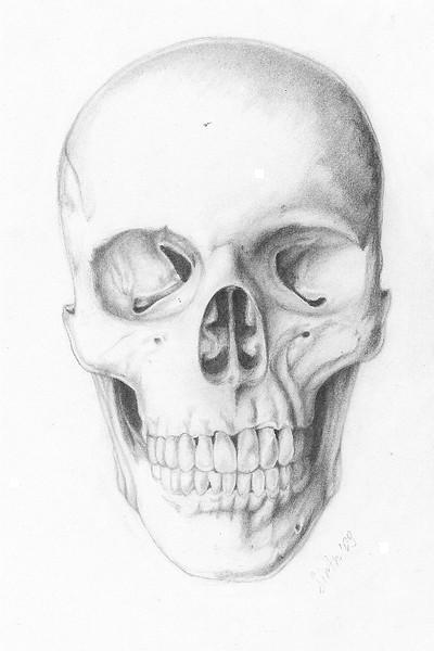 skull