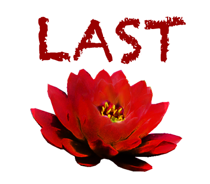 The Last Button Last button by hyoukyo on DeviantArt