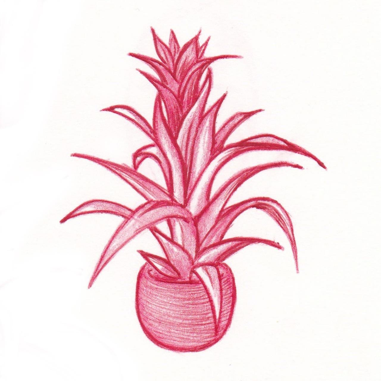 Plant Deviantart Plant 5 by Priestess06 on DeviantArt