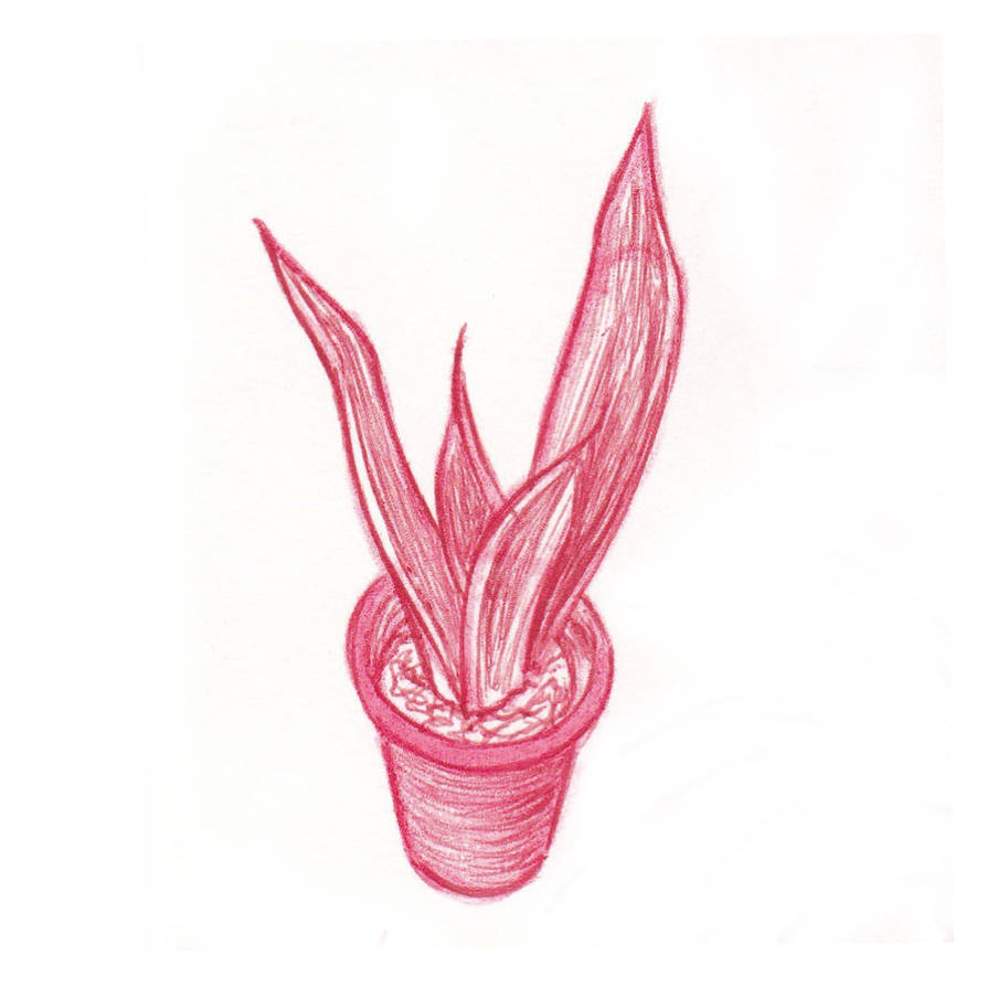 Plant Deviantart Plant 6 by Priestess06 on DeviantArt