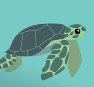Sam Turtle Deviantart Turtle by samsparks101 on DeviantArt