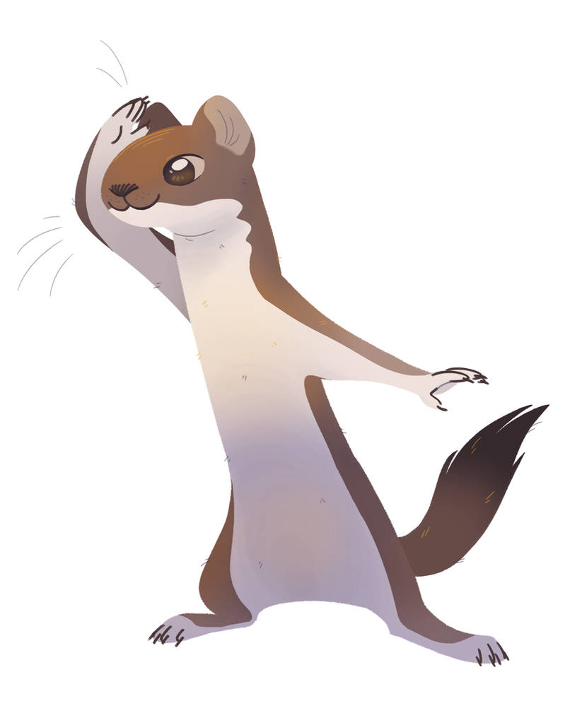 Stoat by Wreaux on DeviantArt