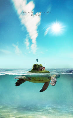 Turtle Island2