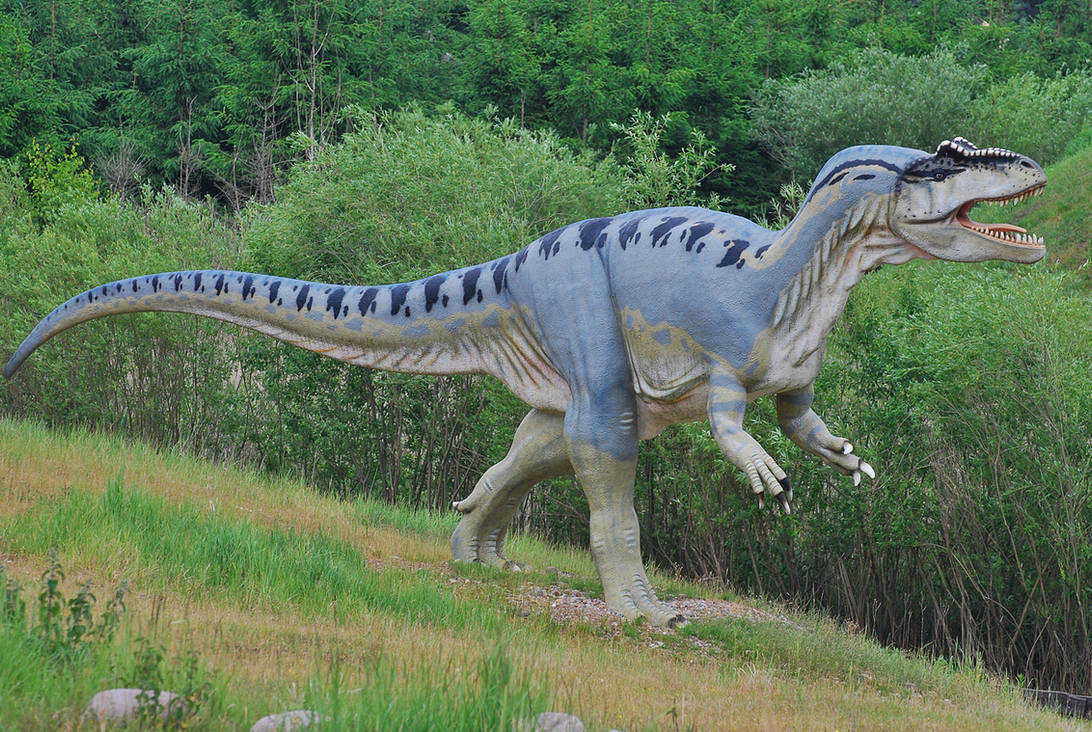 Stock - Allosaurus by NFB-Stock on DeviantArt