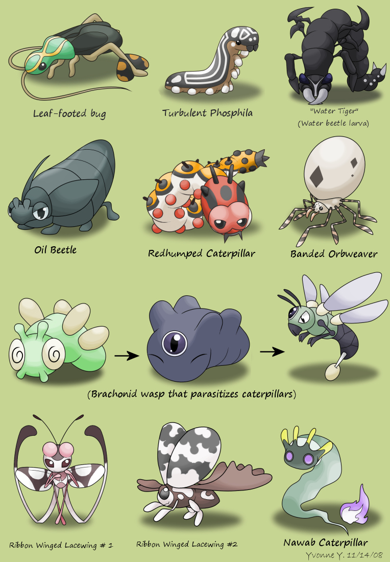 Pokefied Bugs