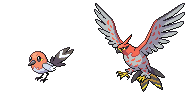 Fletchling and Talonflame