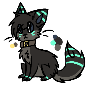 custom- kashisadopts