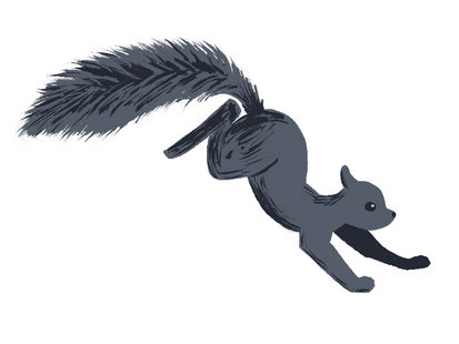 Squirrel running, draft animation