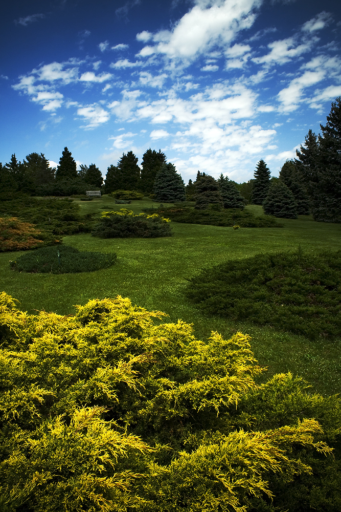 UW Arboretum 01