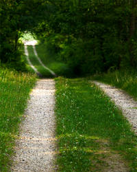 The winding path 01