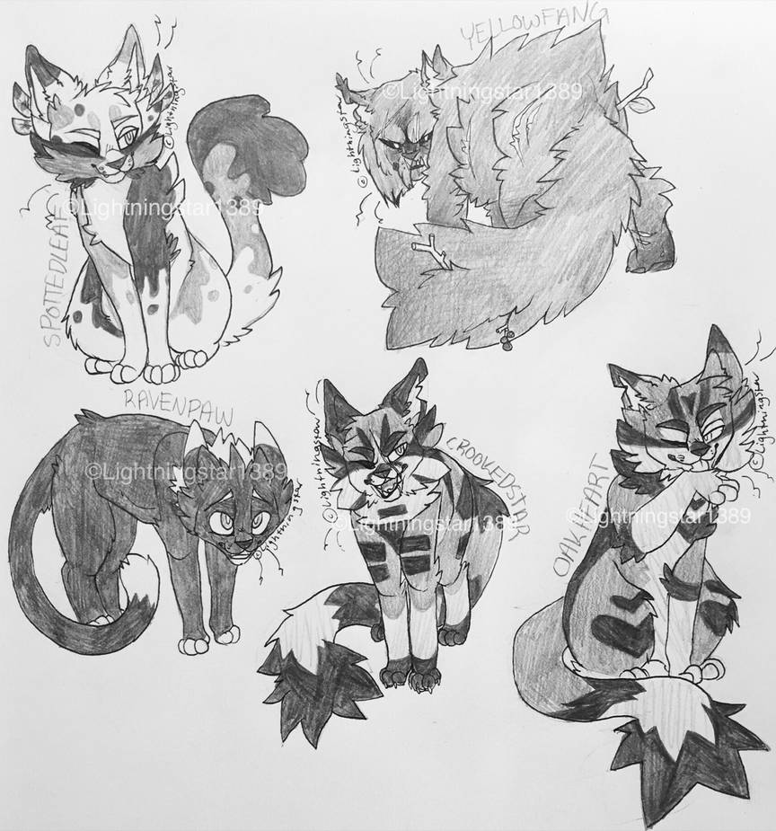 some warrior cats designs #3 by BlueLeafCisco on DeviantArt