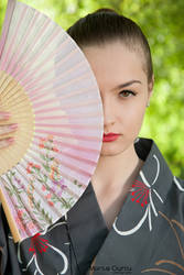 The memories of a geisha