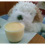 Pudding?