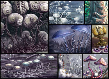 Field Observation I - Mushroom Variations