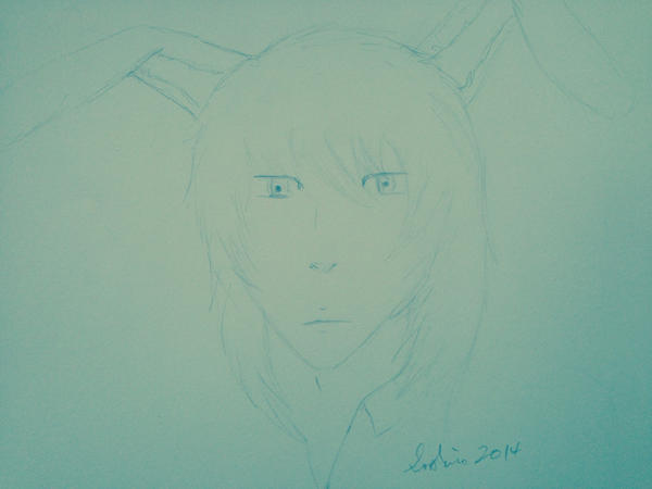 Half human, Half rabbit by sophiat1 on DeviantArt