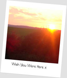 Wish You Were Here x