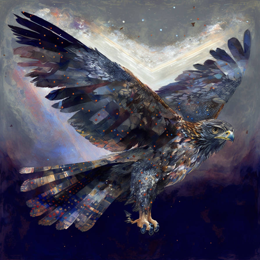 Birds Deviantart Bird by Commonbymaru on DeviantArt