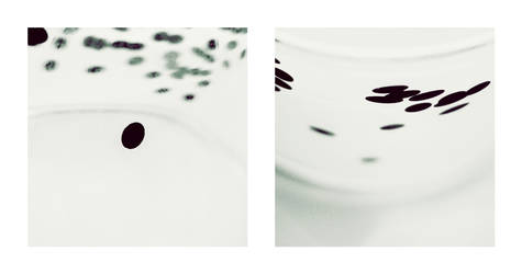 26. Mai 2012 II by Filterkaffee