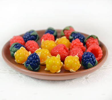 Raspberries, Cloudberries, Blackberries by LissDodgson