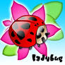 Little pretty ladybug