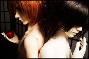 BJD: Light and L