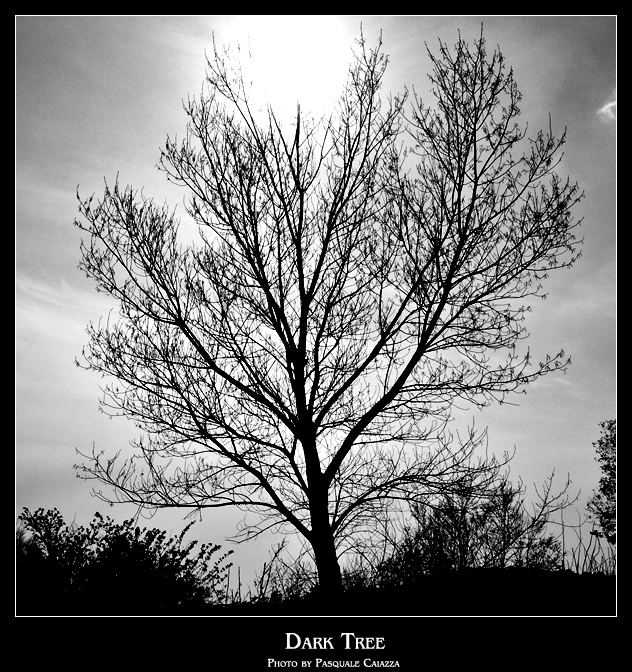 Dark Tree