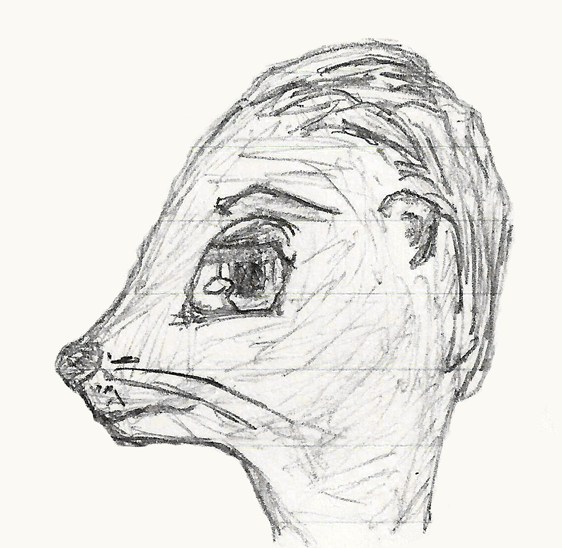 Otter Sketch